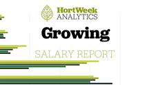 Growing salary report